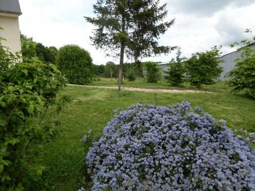 Bed & Breakfast Bienvenue � L'andru�re
