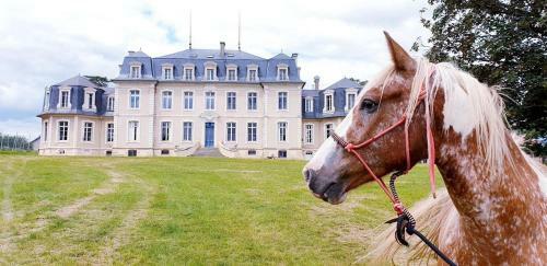 Hostal Chambre Zen Ch�teau De La Bouchatte