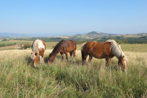 Bed & Breakfast Le Corral Chambre D'h�te