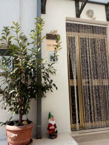 Bed & Breakfast Alfi Beb
