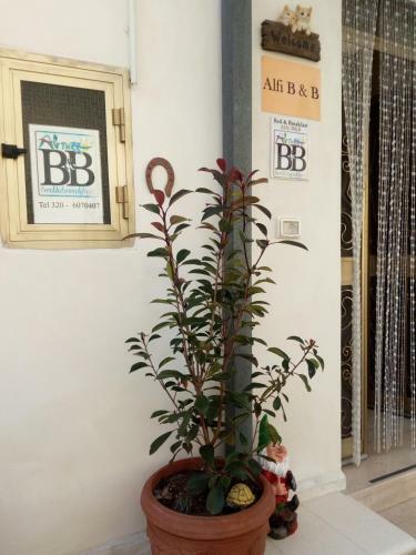 Bed & Breakfast Alfi Beb