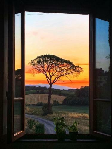 Apartamento Casa Le Rondini Toscana