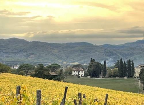 Apartamento Casa Le Rondini Toscana