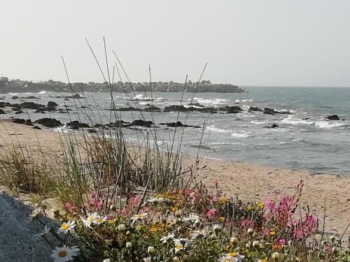 Bed & Breakfast Mattei Domus