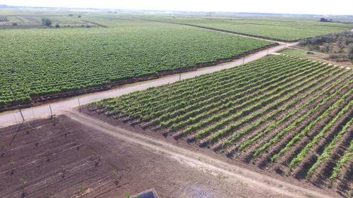 Agroturismo Terra Di Negroamaro