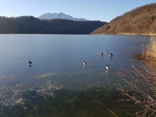 Apartamento Appartamento Lago