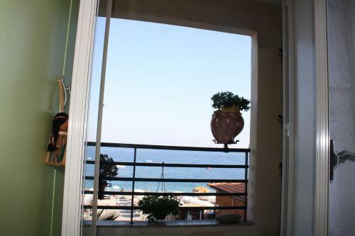 Apartamento Patrancarro Home