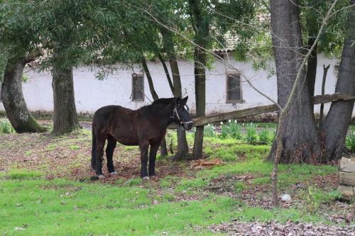 Apartamento Turismo Rural Lo Vilches