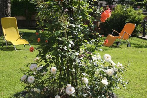 Hostal Residenz Am Schloss