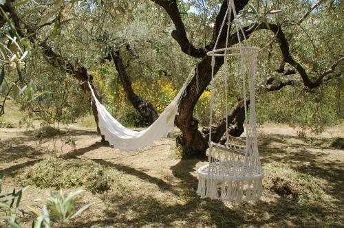 Bed & Breakfast Valle De Oro