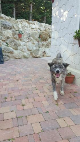 Villa Lucia