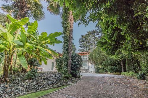 Villa Beatrice