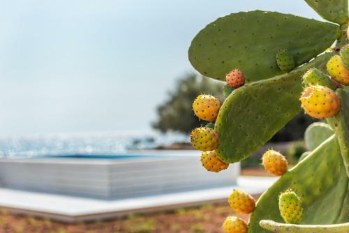 Villa Eva, Luxury Salento