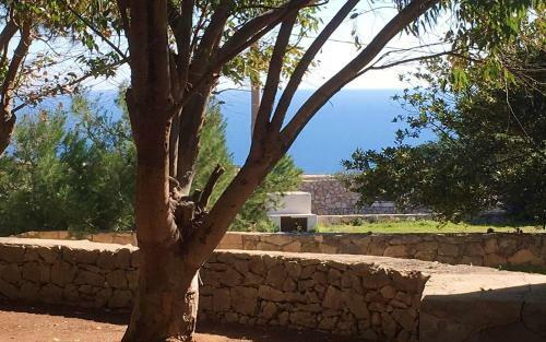 Villa Pineta Relax