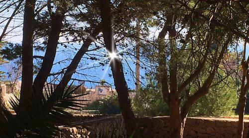 Villa Pineta Relax