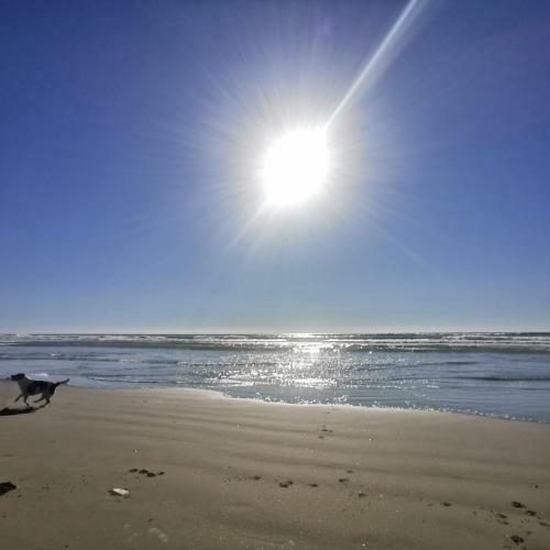 Apartamento Sole Mare Da Angy
