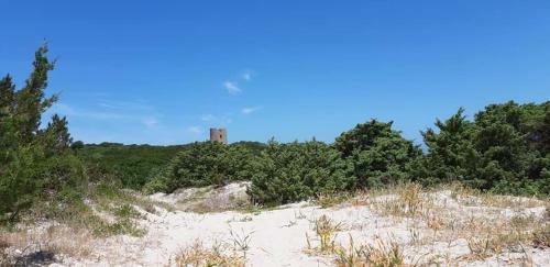 Apartamento Appartamenti Mirice Beach Resort - Mare & Pace