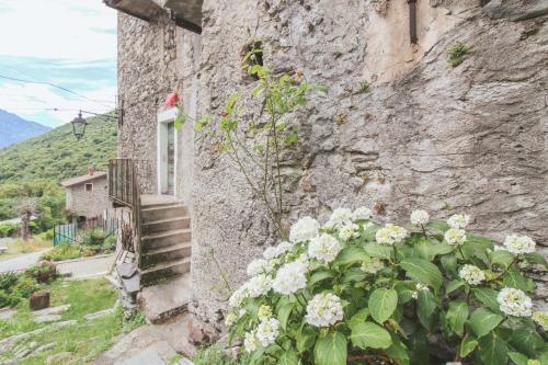 Apartamento Casa Lometti