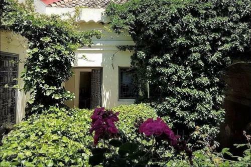 Bed & Breakfast La Casa Di Ida