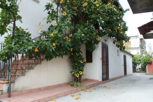 Apartamento Dimora Alba