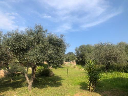 Casa Vacanza La Sarra