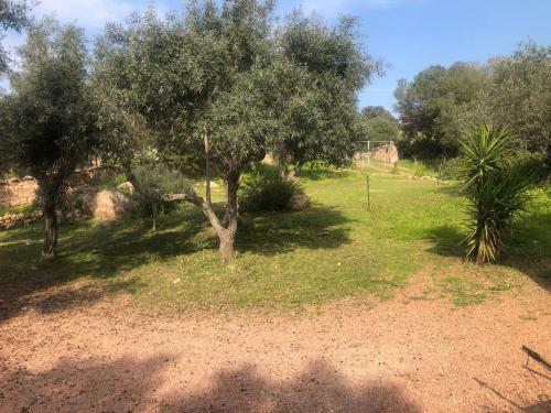 Casa Vacanza La Sarra