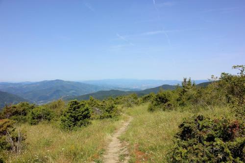 B&B Poggio Alla Cuna