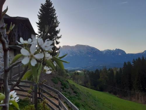 Apartamento K�bl Hof