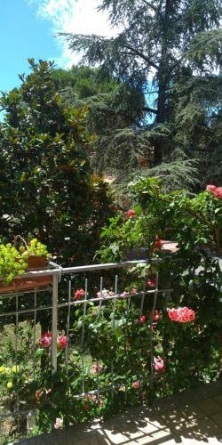 Apartamento La Fontanina