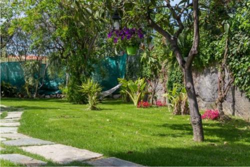 Apartamento Villa Paola Bilo4
