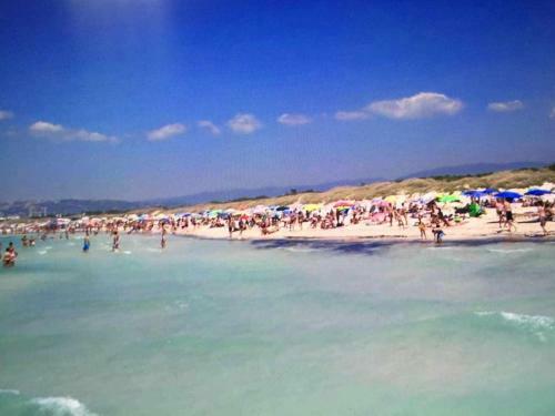 Apartamento Monolocale A Pochi Passi Dal Mare