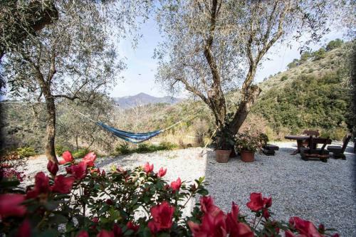 Villa La Casa Di Terry
