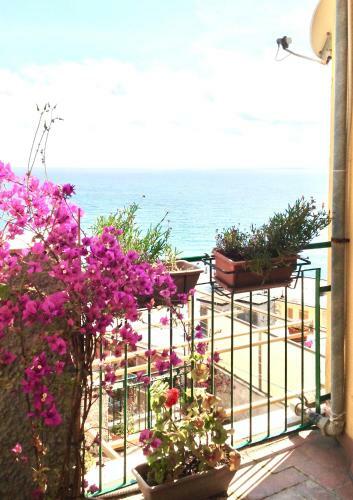Apartamento Partenope