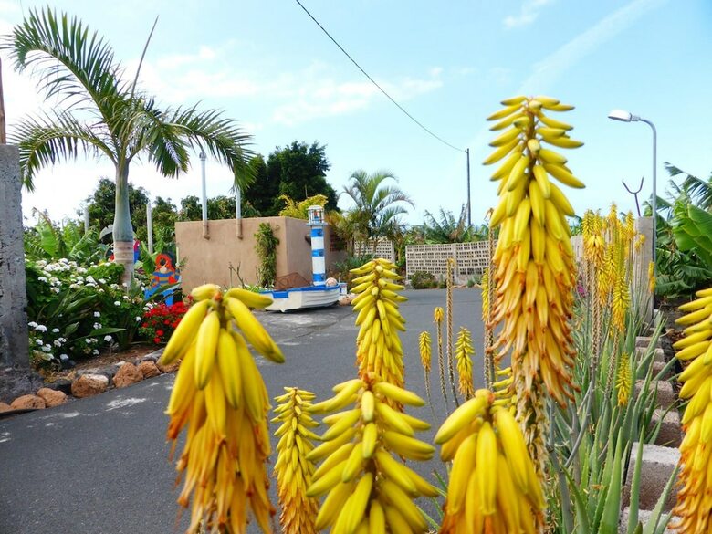 Hotel Rural El Nav�o
