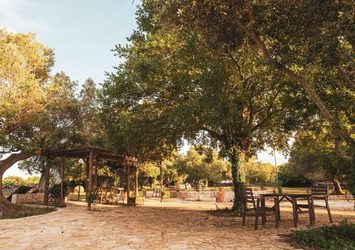 Bed & Breakfast Poggio Degli Ulivi