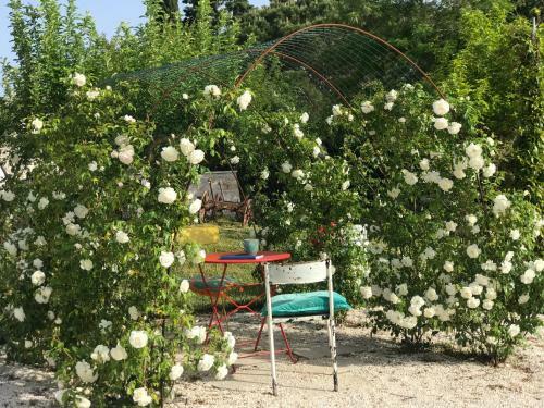 Trullo Trelisa..with Private Garden, Near Alberobello