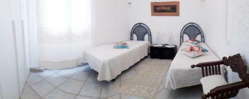 Apartamento Chlamys