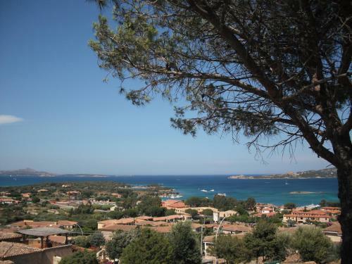 Apartamento Casa Vacanze Il Pino