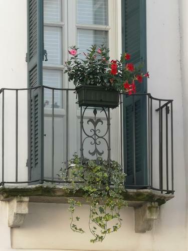 Apartamento Feluca
