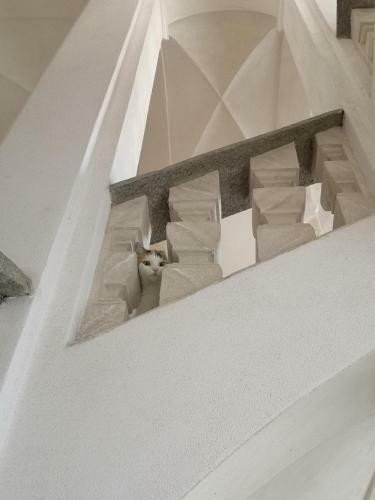 Apartamento Feluca