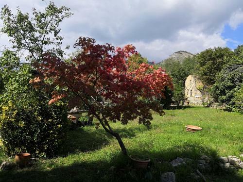 Apartamento Appartamento Serenella