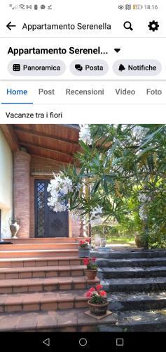Apartamento Appartamento Serenella