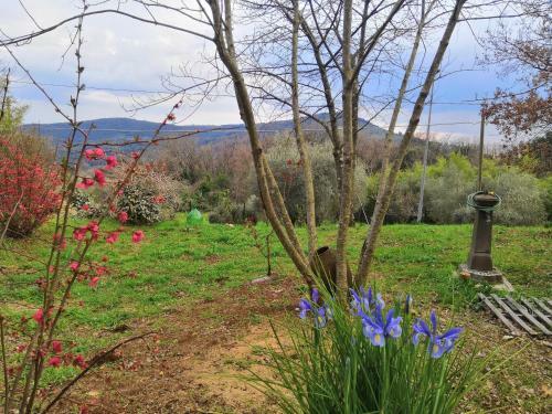 Apartamento Appartamento Serenella