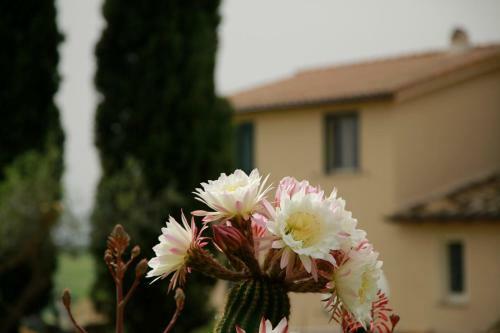 Bed & Breakfast Corte Buenavista