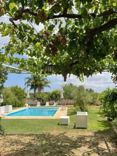 Villa Serrezzula Con Piscina