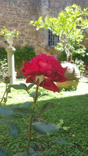 Bed & Breakfast B & B 'degli Artisti'
