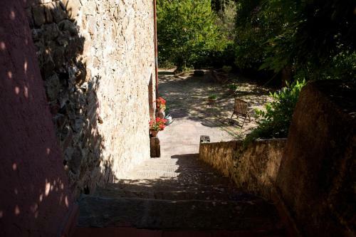 Agroturismo Antico Giuncheto