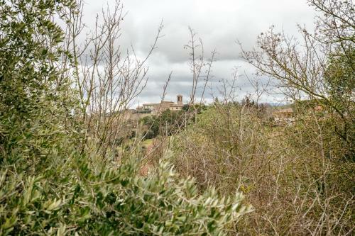 Apartamento Borgo Montecolognola