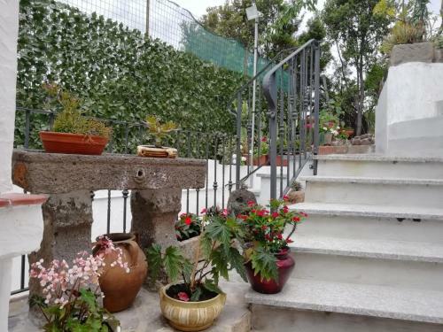 Apartamento Appartamento Bouganville