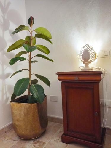 Hostal Giardino Frannicola